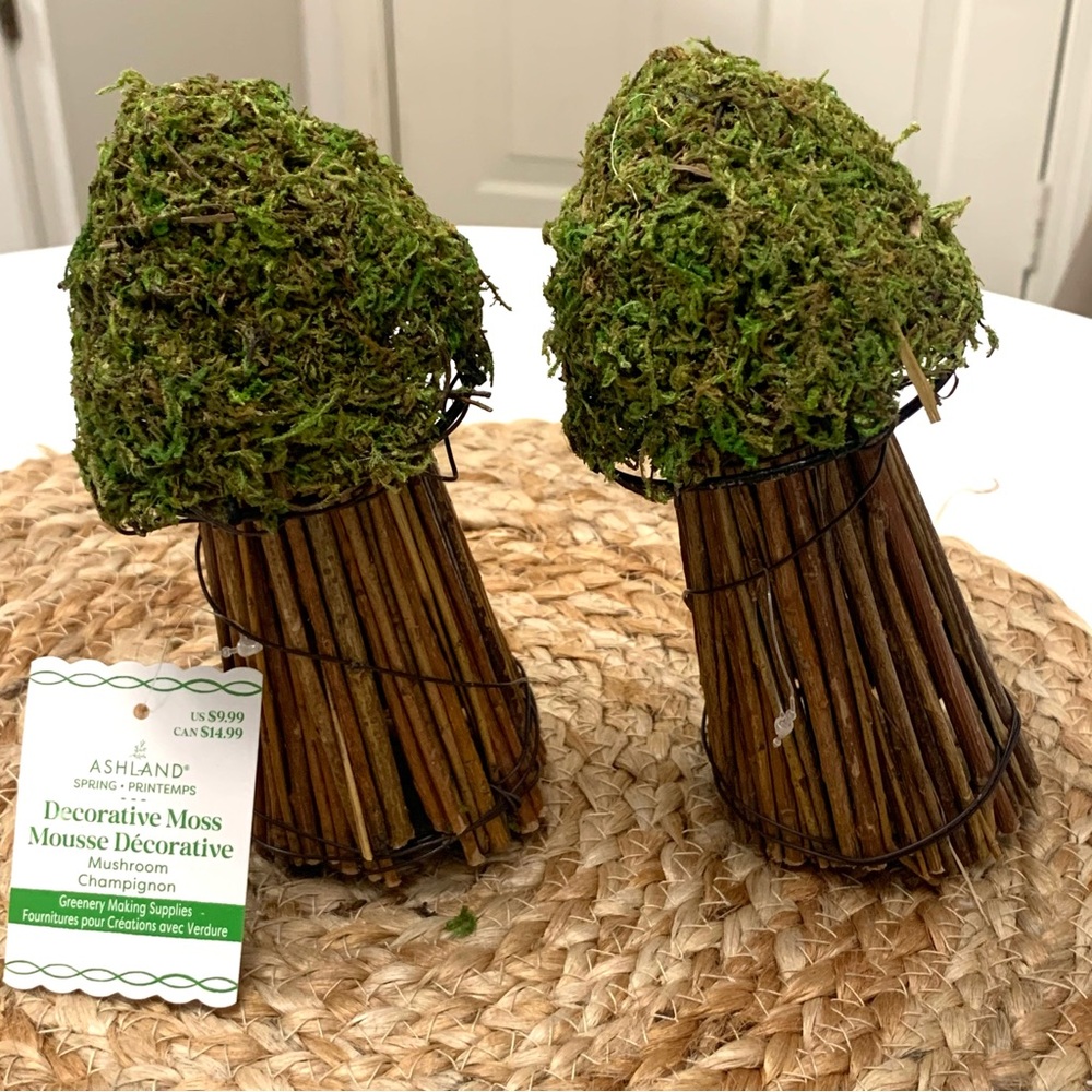 NWT Wicker & Moss Mushrooms - Picture 3 of 3